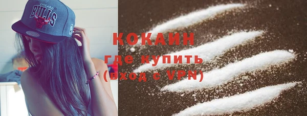 винт Абаза