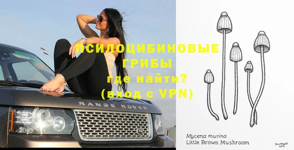 прущая мука Абдулино
