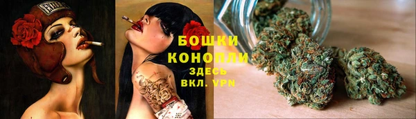 героин Алексин