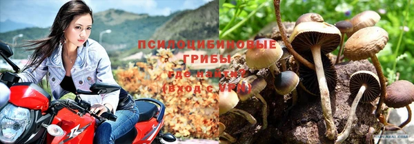 каннабис Алзамай