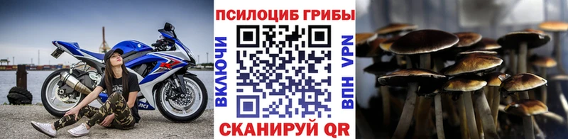 Галлюциногенные грибы GOLDEN TEACHER  где купить наркоту  Иркутск 